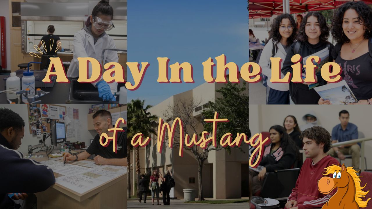 A Day in the Life of a Mustang banner