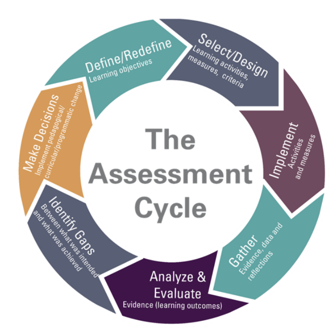 Assessment Cycle