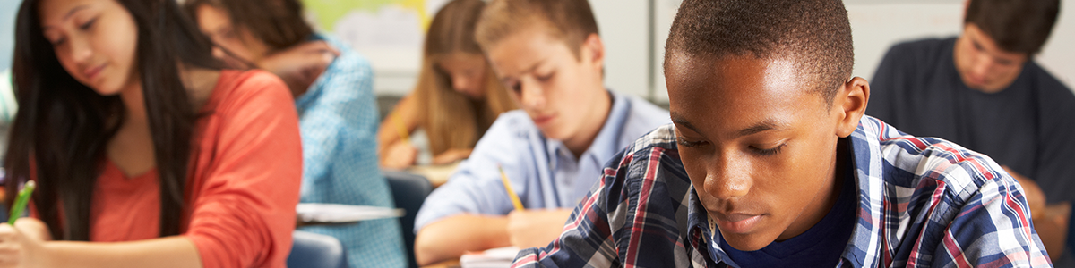 Dual Enrollment banner