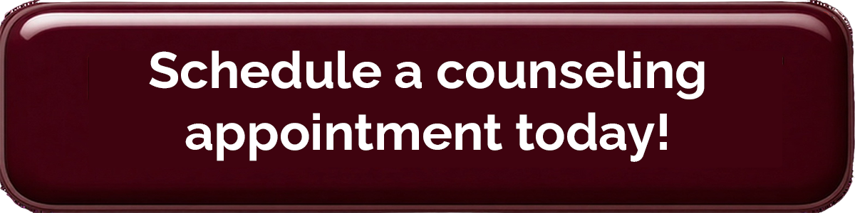 Schedule a Counseling Appointment button
