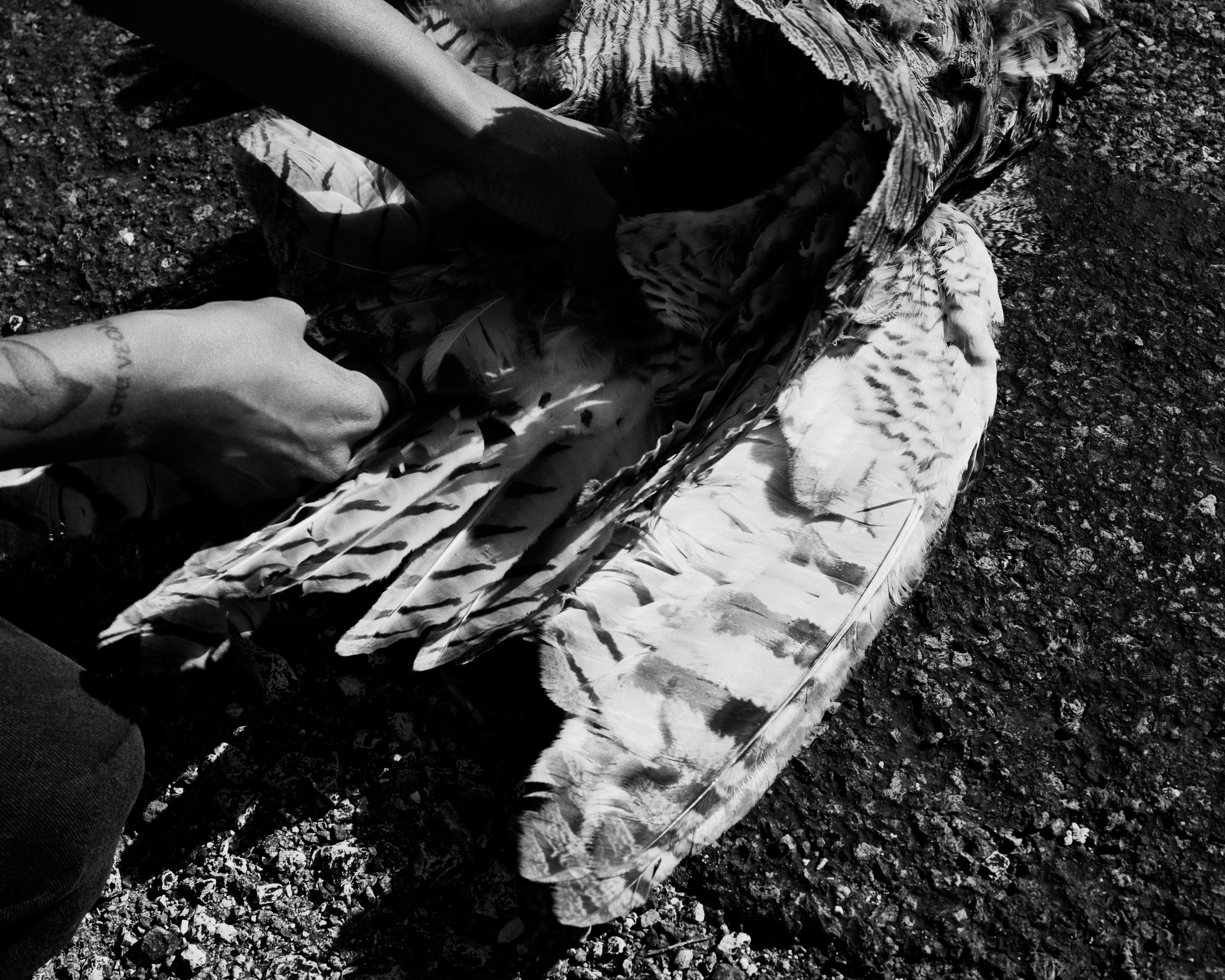 Devyn Galindo, "The Initiation (sketch for Smoking Mirror)", ink on paper, 6 x 4in., 2025.