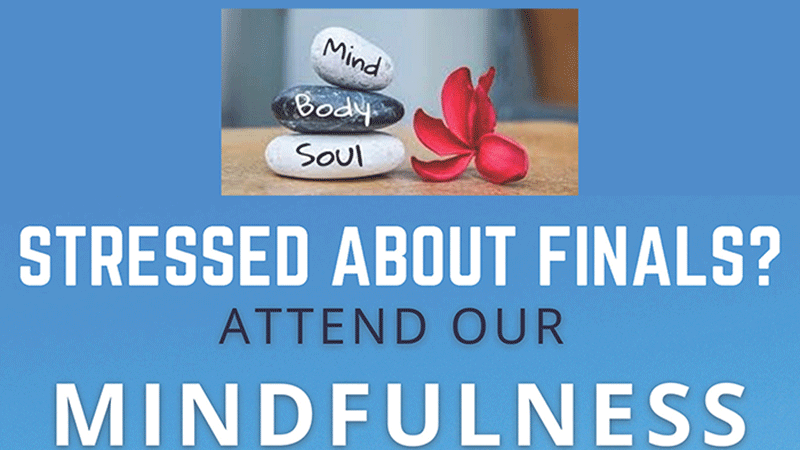 Mindfulness Virtual Workshops