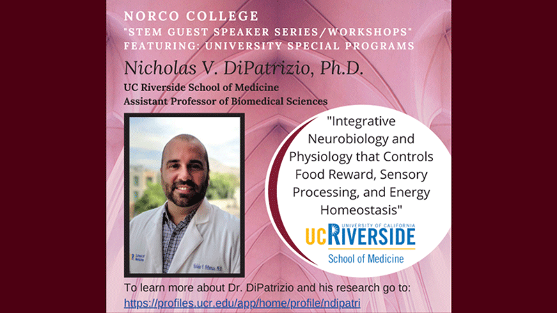 STEM Guest Speaker Series: Dr. Nicholas DiPatrizio banner