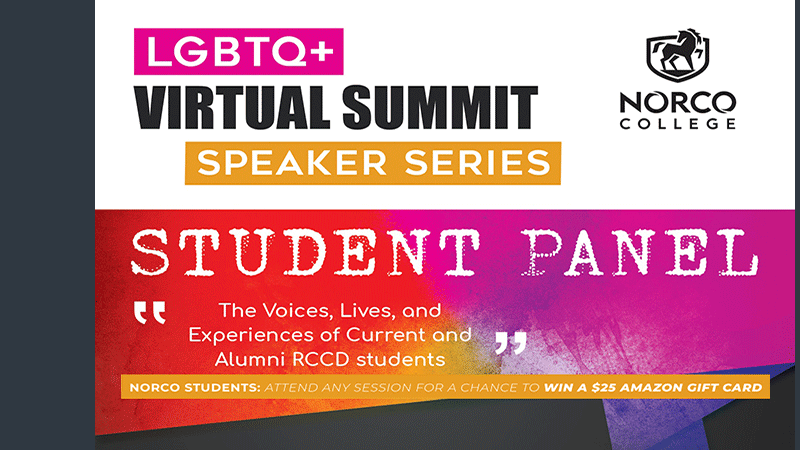LGBTQ+ Virtual Summit