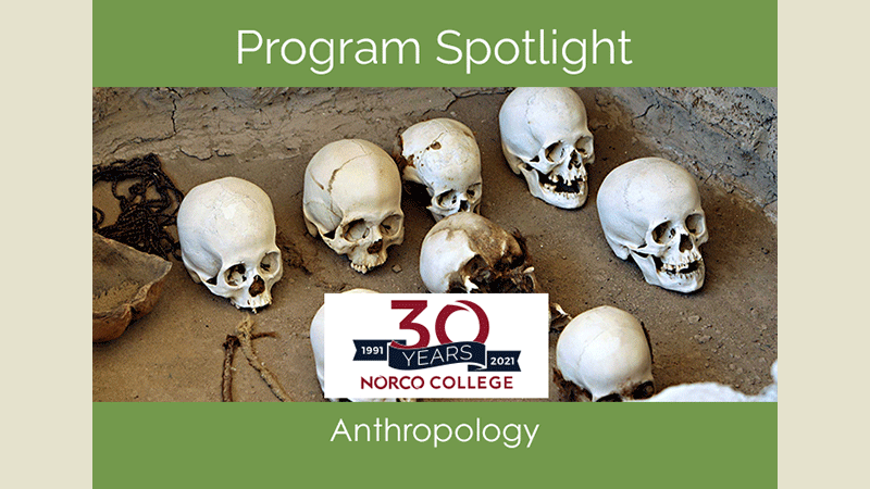 Program Spotlight: Anthropology