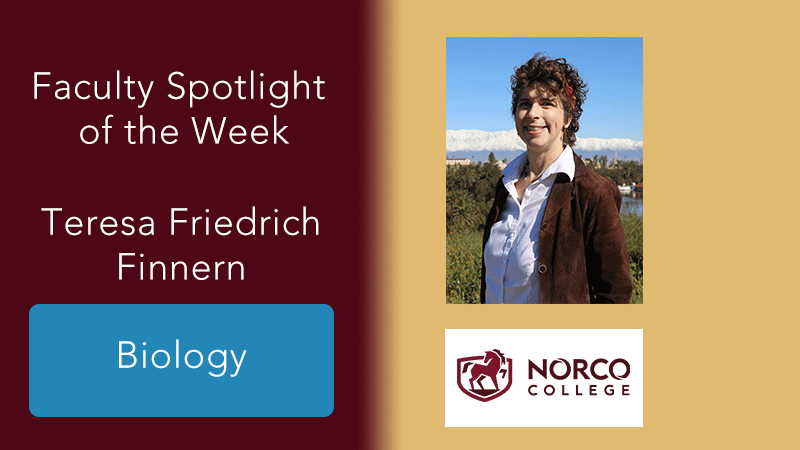 Faculty Spotlight of the Week - Teresa Friedrich Finnern