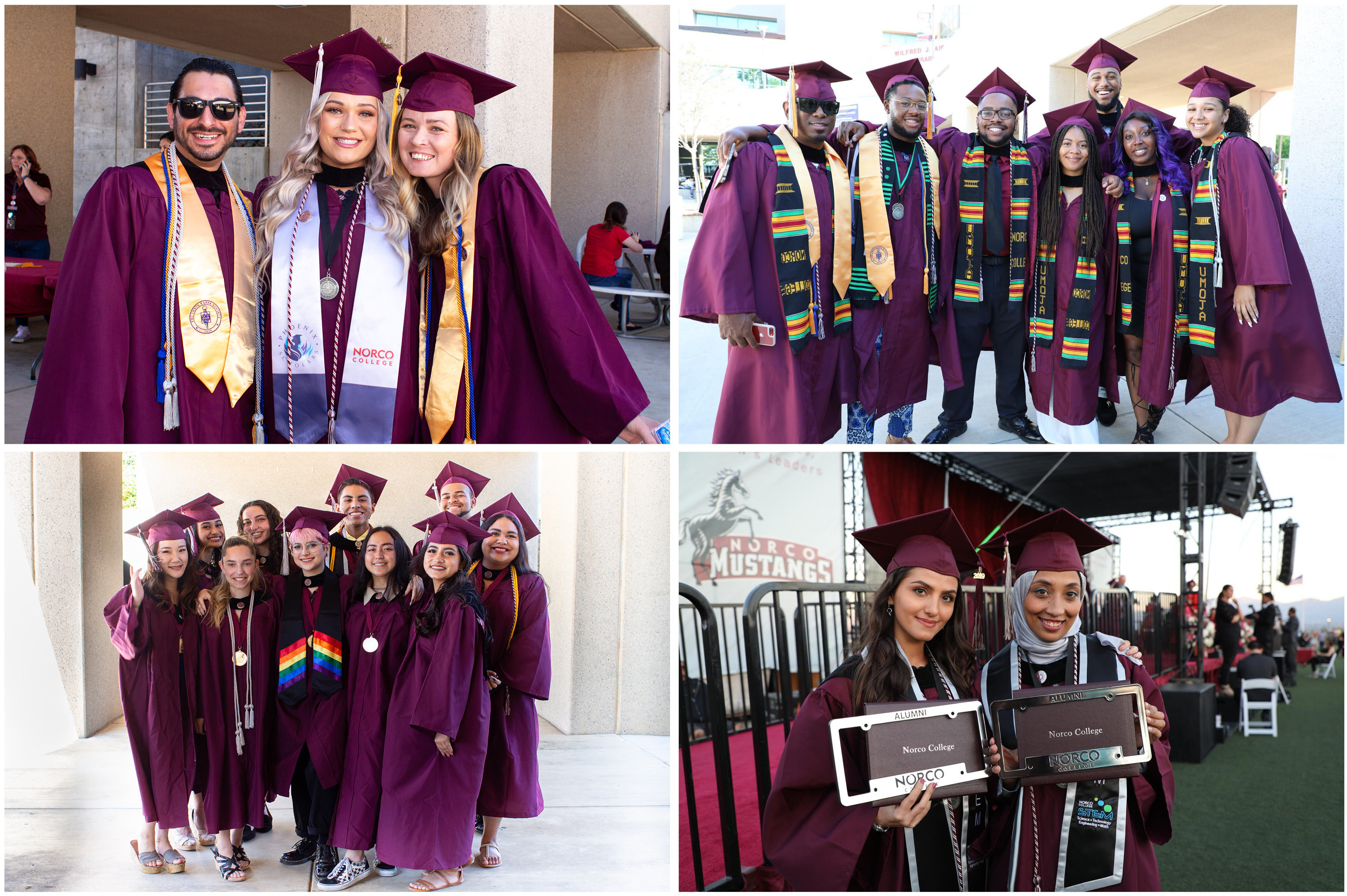 Graduation Picture Collage