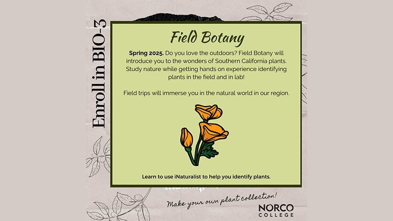 Enroll in BIO-3-34429 Field Botany for Spring 2025 flyer