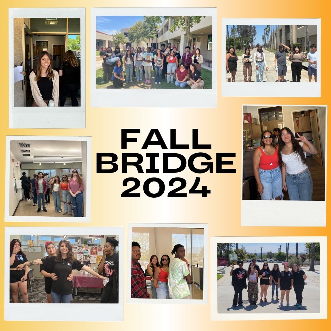 fall bridge event photos