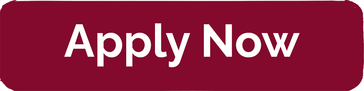 Apply Now for Admission to College button