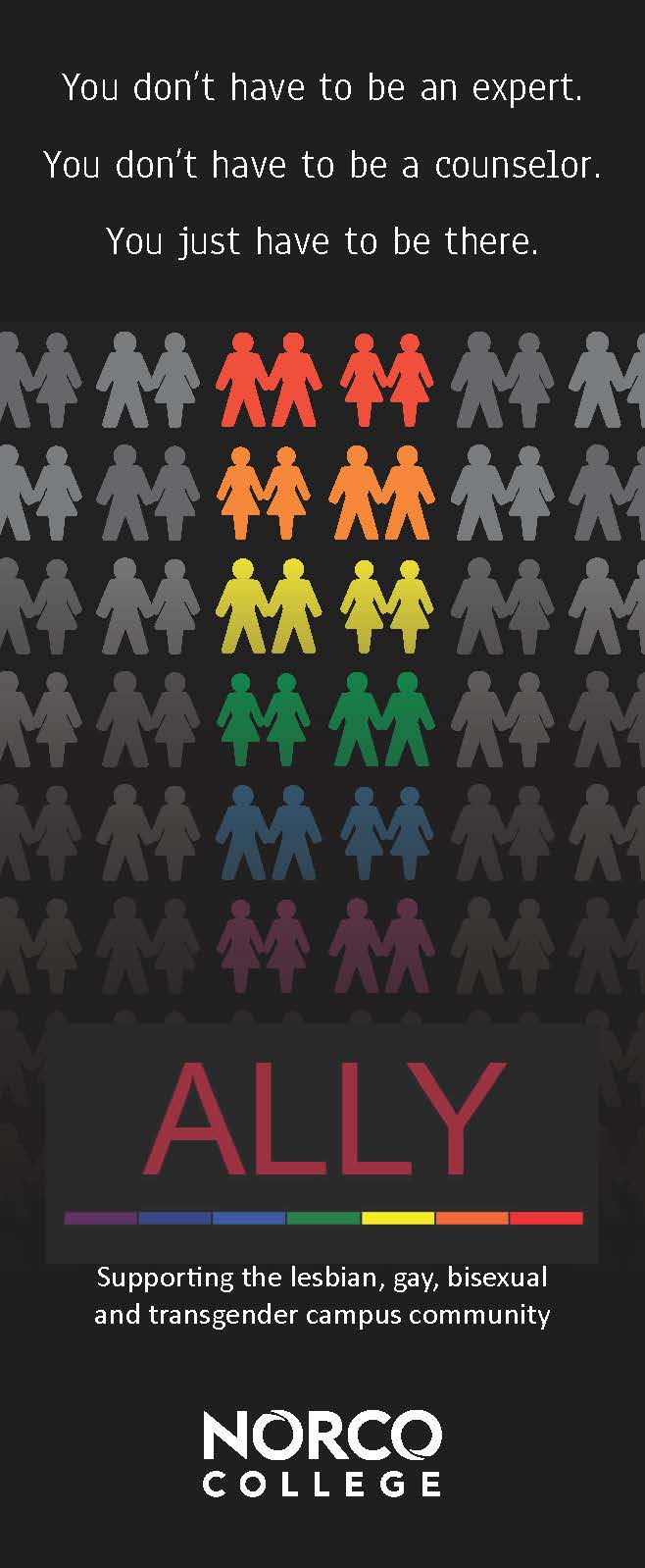 ALLY flyer